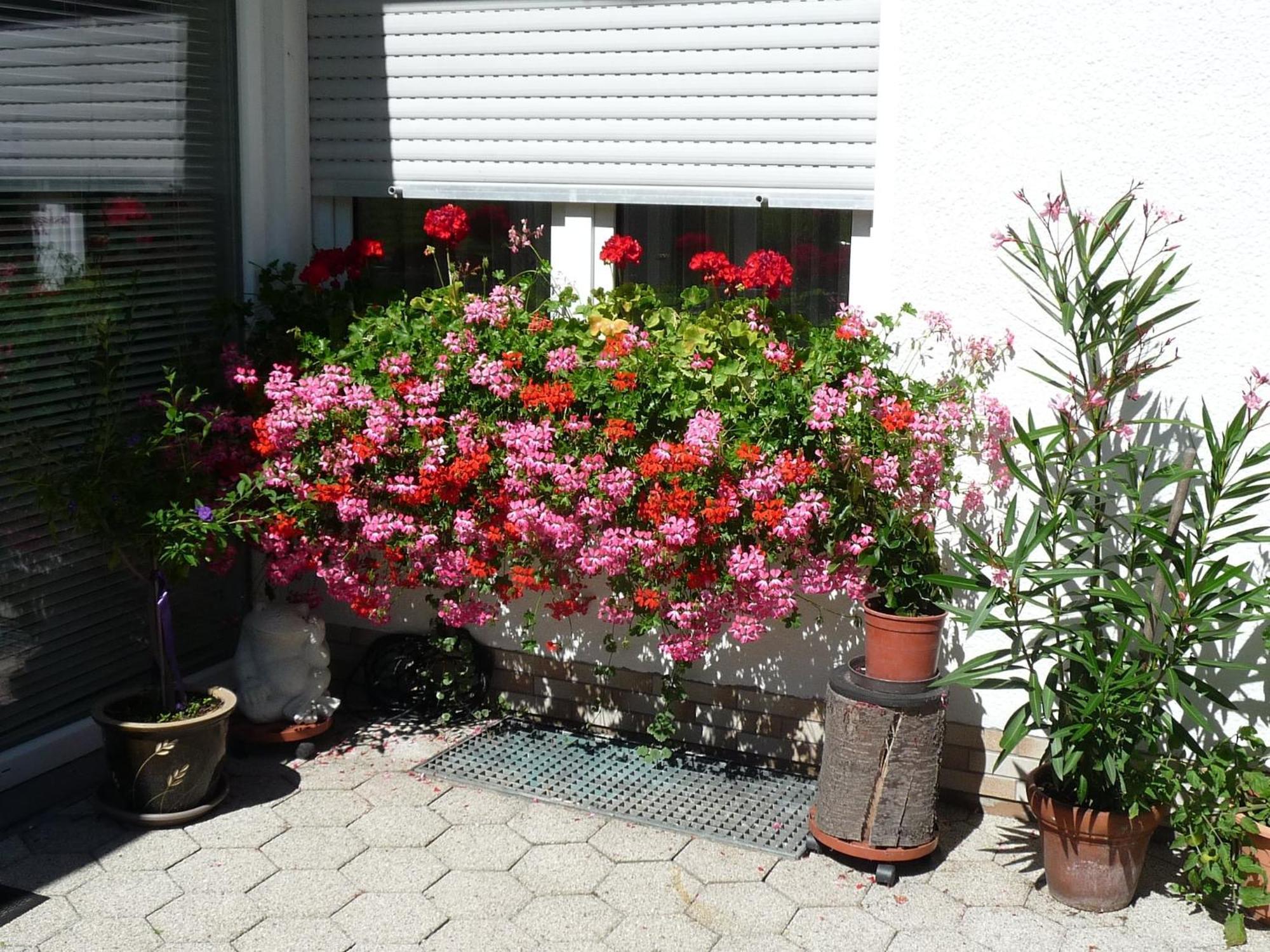 Graceful Apartment In Velmede With Garden بيستفيغ المظهر الخارجي الصورة